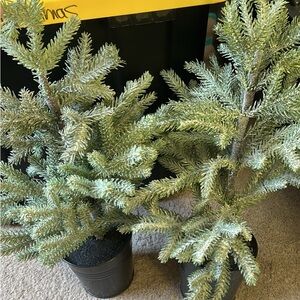 Frosted Green Holiday Pine Tree Set